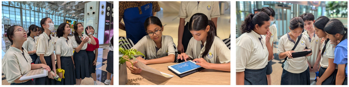 mtl translation activities 2025